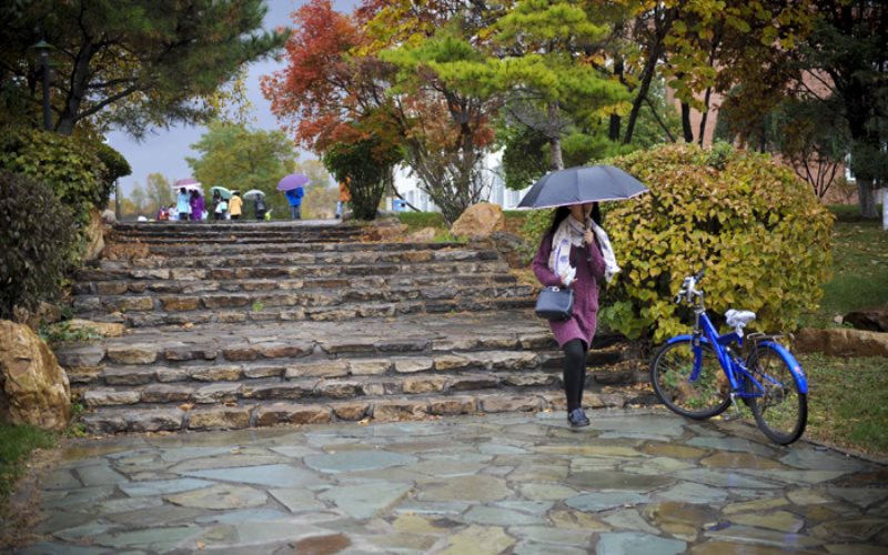2023年吉林外国语大学在广东招生专业及招生人数汇总