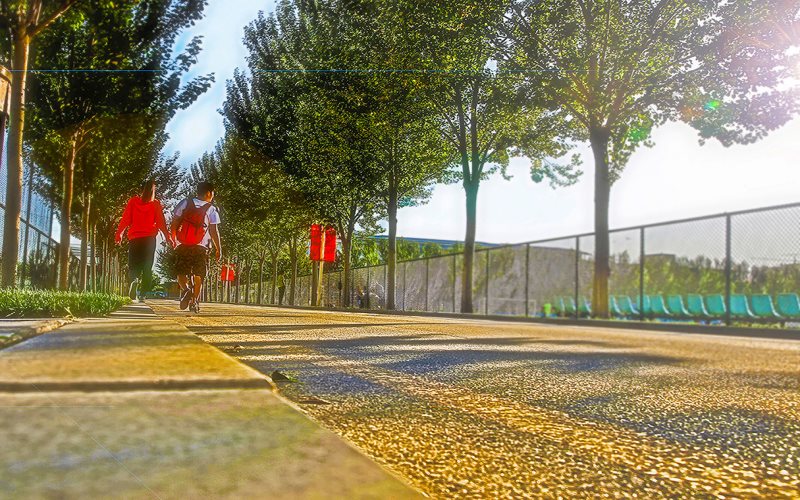 2024年沈阳体育学院新闻学专业在河北录取分数线参考