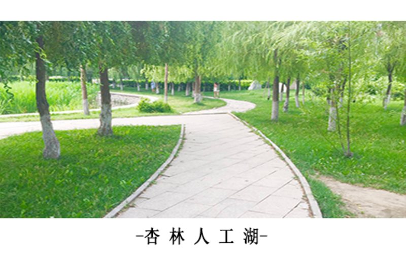 2023年辽宁中医药大学杏林学院在云南招生专业有哪些？学费是多少？