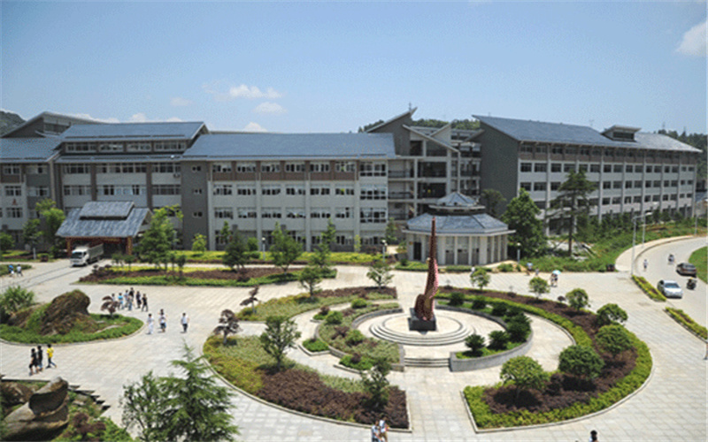 重庆物理类考生排多少名可以上湘西民族职业技术学院中西面点工艺专业?