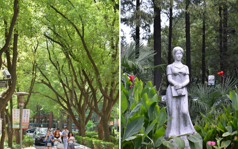上海科学技术职业学院旅游管理专业录取分数线【新疆高考文科】