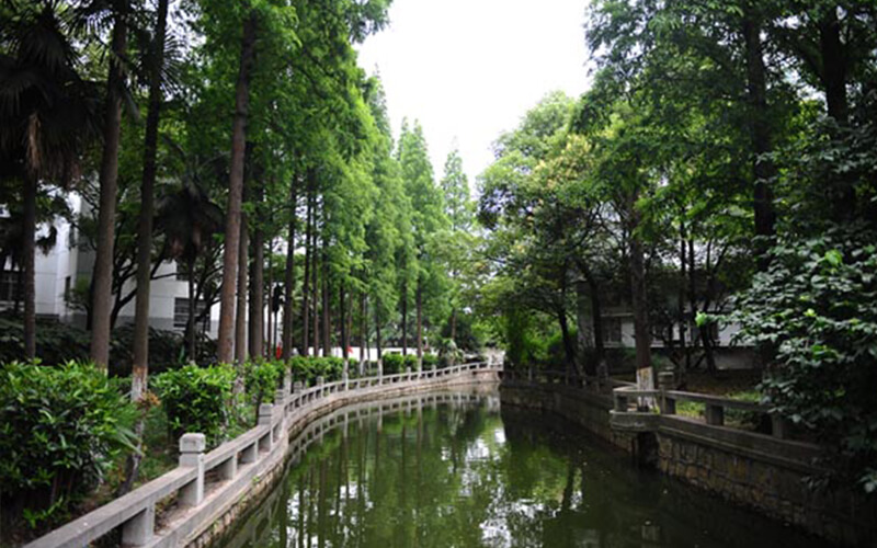 上海科学技术职业学院现代物流管理（高本贯通）专业在河北招生录取分数(历史类)：409分