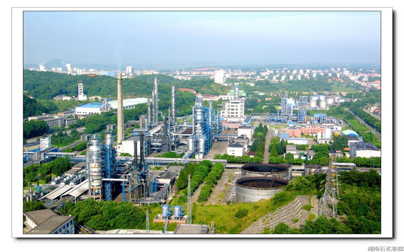 湖南石油化工职业技术学院石油化工技术专业在浙江招生录取分数(综合)：431分