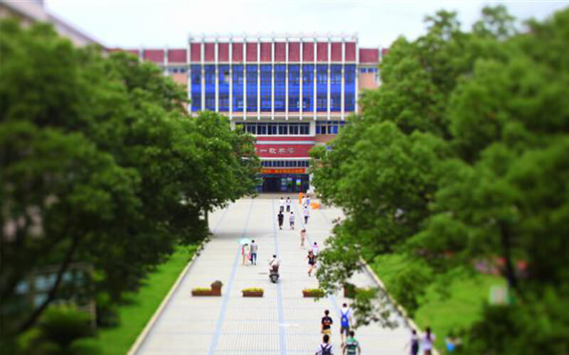 2023年上海农林职业技术学院在广西招生专业及招生人数汇总