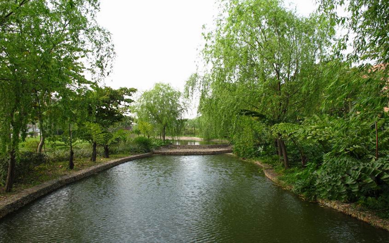福建师范大学旅游管理类专业在内蒙古招生录取分数(理科)：452分