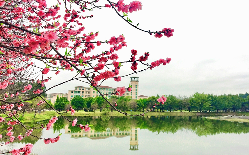 2023年闽江学院在浙江招生专业有哪些？学费是多少？