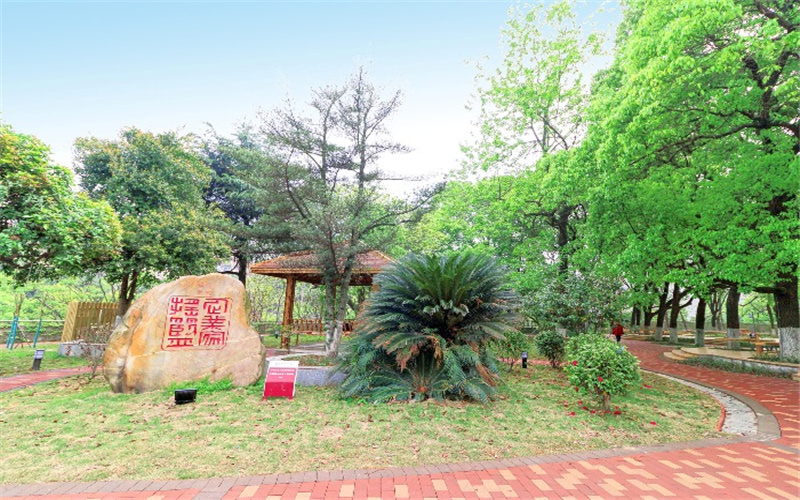 2023年湖南工商大学在江苏招生专业及招生人数汇总