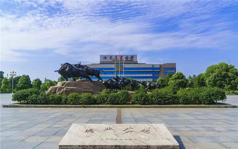 内蒙古文科考生排多少名可以上湖南农业大学金融学专业?