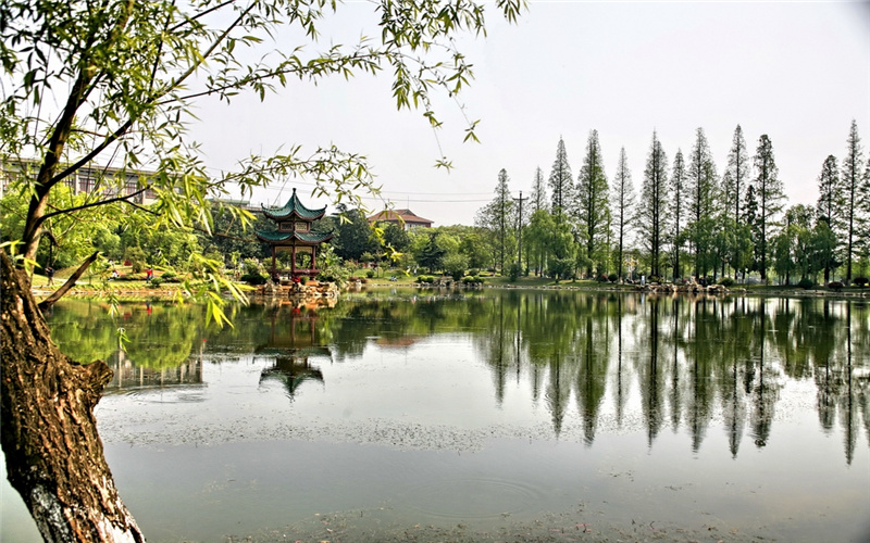 2023年湖南农业大学在安徽招生专业及招生人数汇总(2024考生参考)