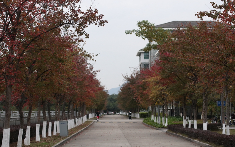 2023年福建江夏学院在辽宁招生专业及招生人数汇总