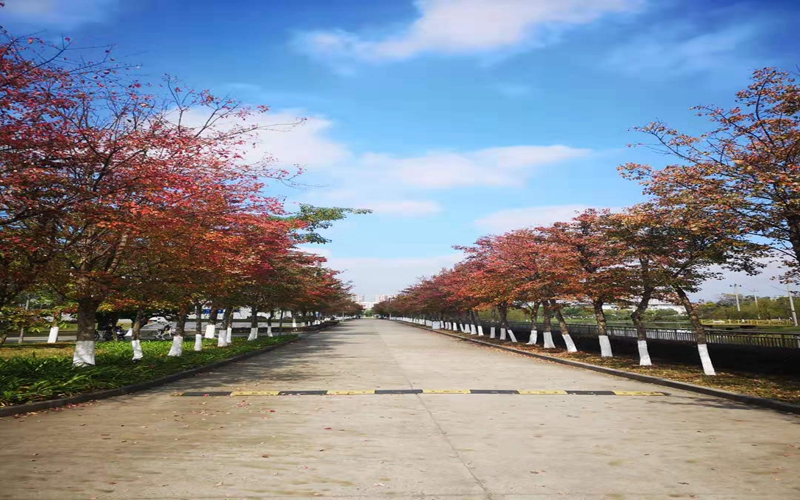 【2024辽宁历史类参考】2023年福建江夏学院各专业在辽宁招生分数线汇总
