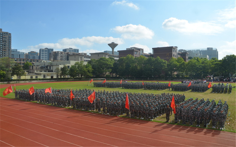 湖南外国语职业学院应用法语专业录取分数线【河北高考物理类】
