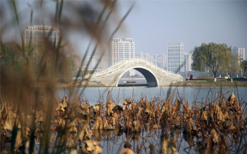 湖南文理学院机械设计制造及其自动化专业在山西招生录取分数(理科)：467分