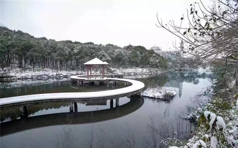 浙江综合考生排多少名可以上长沙民政职业技术学院康复治疗技术专业?