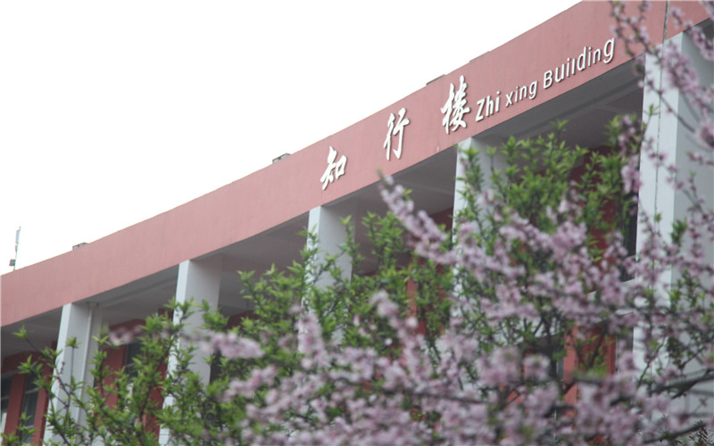 2023年长沙商贸旅游职业技术学院在广东招生专业及招生人数汇总(2024考生参考)