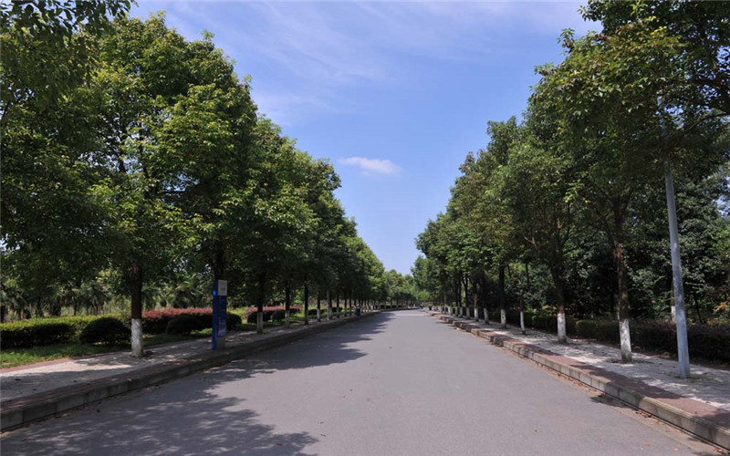 2024考生参考：2023湖南工学院通信工程专业在内蒙古招生录取分数及录取位次