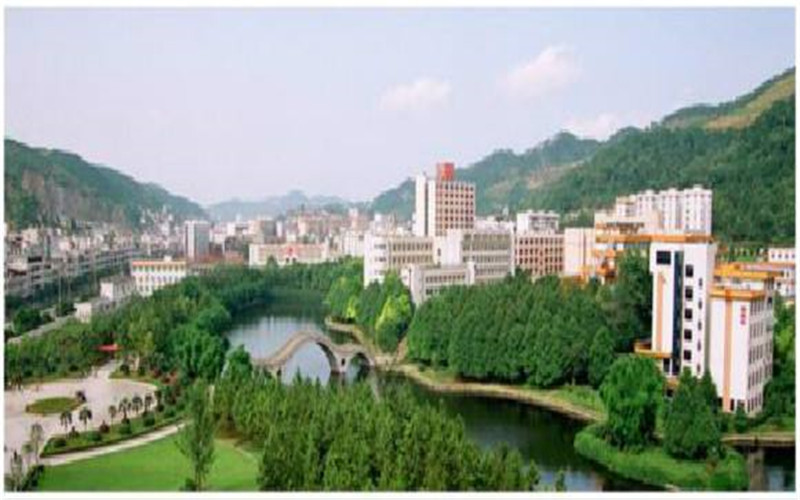 重庆历史类考生排多少名可以上湖南环境生物职业技术学院护理专业?