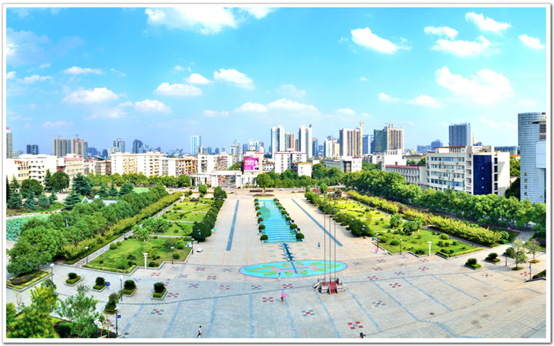2023年南华大学在天津招生专业及招生人数汇总