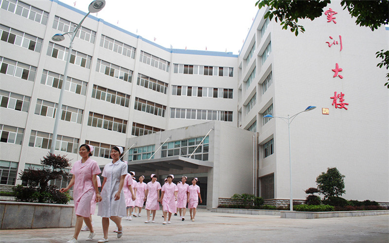 重庆历史类考生排多少名可以上长沙卫生职业学院临床医学专业?
