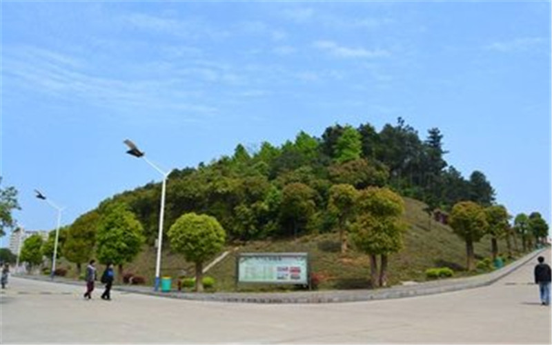 2022年中南林业科技大学涉外学院在新疆招生专业及招生人数汇总（2023考生参考）