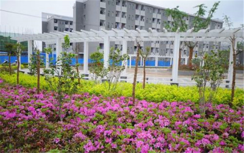 【2022高考】淮北理工学院在江苏各专业录取分数线及选科要求