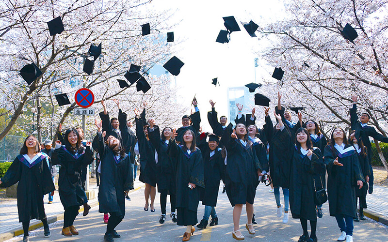 2023年同济大学在河南招生专业及招生人数汇总