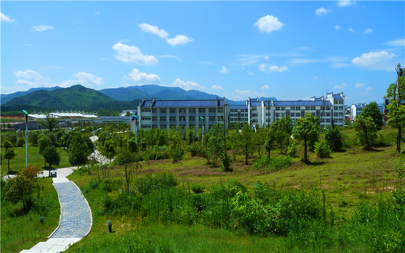 2024考生参考：2023池州学院材料化学专业在山东招生录取分数及录取位次