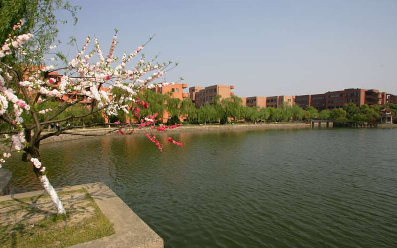 2023年上海交通大学在安徽录取批次及录取分数参考