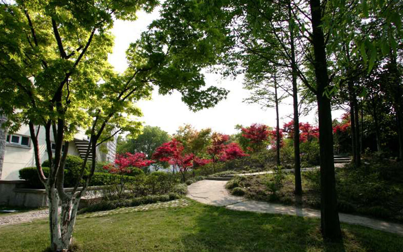 上海交通大学工科试验班类（船建学院）专业在山东招生录取分数(综合)：654分