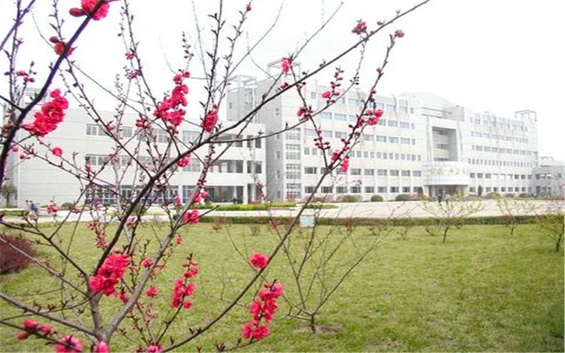 【2022高考参考】阜阳师范大学信息工程学院2021年河北最低录取分数及位次