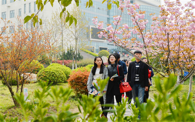 2022年合肥师范学院在陕西招生专业及招生人数汇总（2023考生参考）
