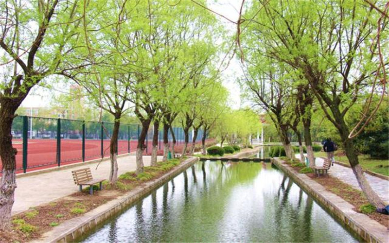 2023年合肥学院在重庆招生专业及招生人数汇总