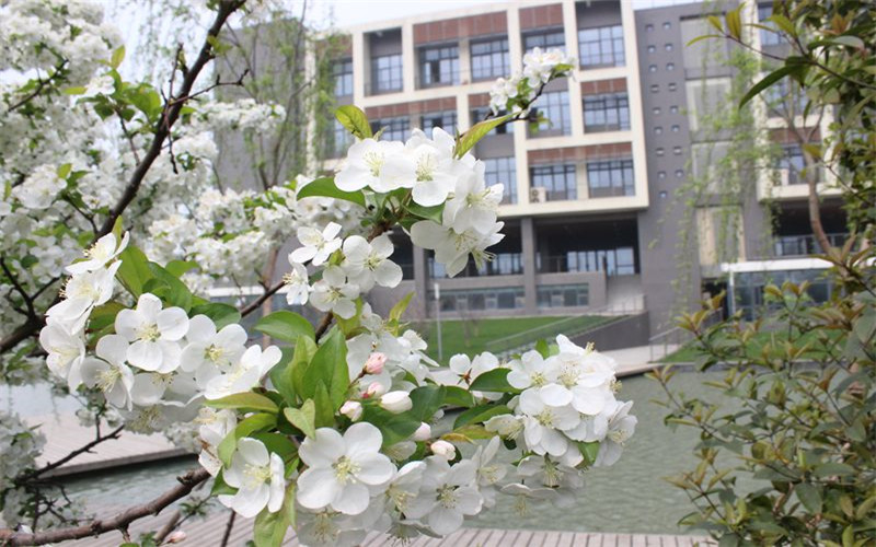 合肥学院汉语言文学专业在河北招生录取分数(历史类)：534分