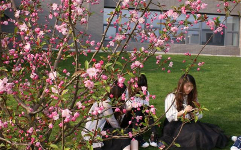 2022年合肥学院在广西招生专业及招生人数汇总（2023考生参考）