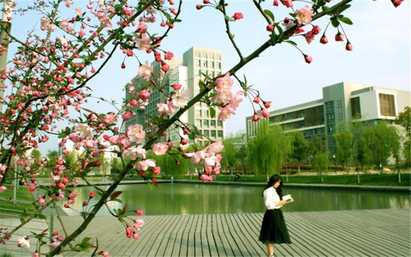 2024考生参考：2023合肥学院汉语言文学专业在重庆招生录取分数及录取位次
