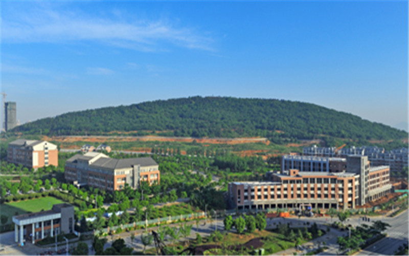2024考生参考：2023皖江工学院自动化专业在山东招生录取分数及录取位次
