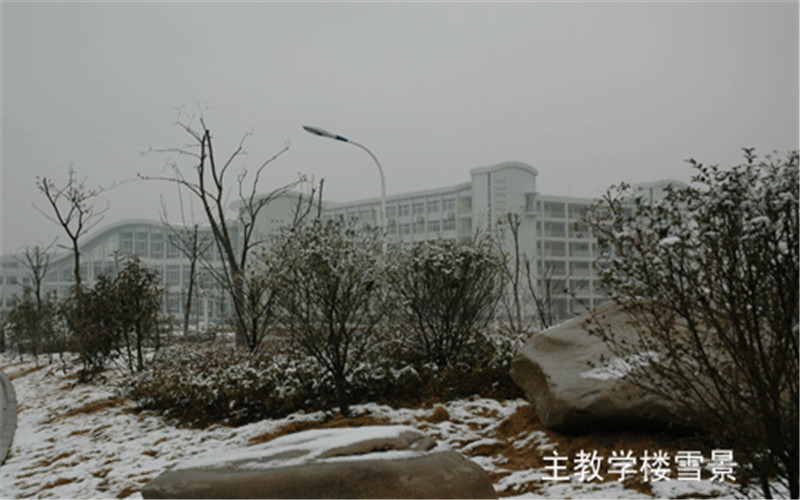 2023年安徽财贸职业学院在黑龙江招生专业有哪些？学费是多少？