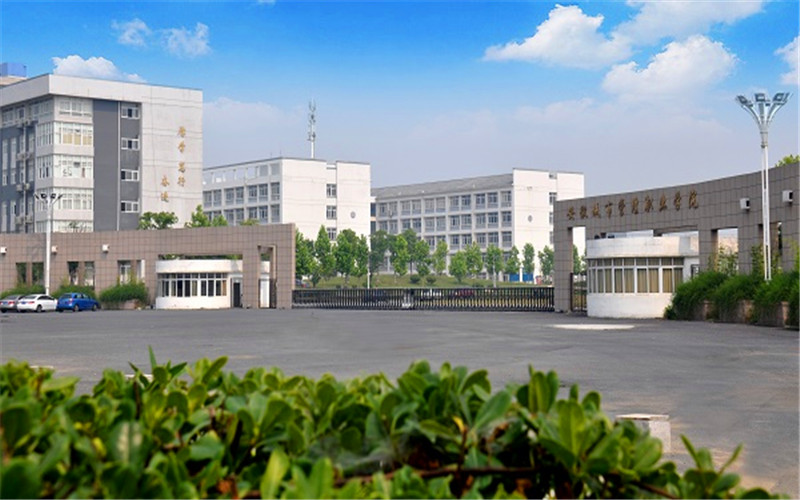 安徽城市管理职业学院现代物业管理专业在河北招生录取分数(物理类)：376分