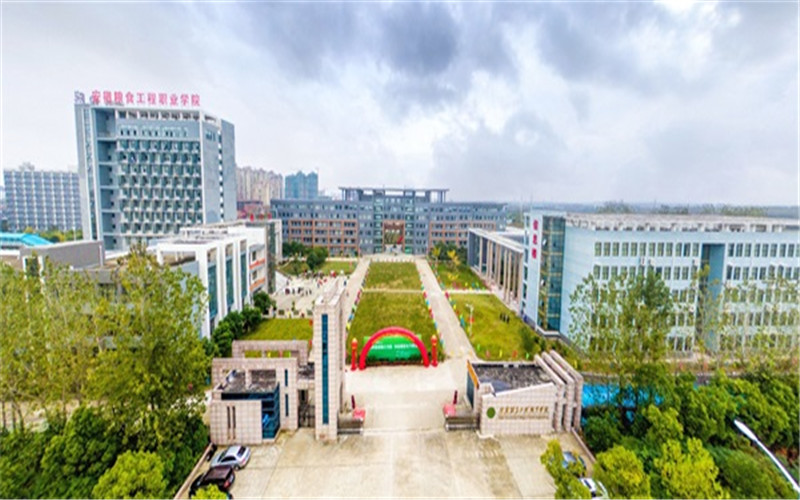 2023年安徽粮食工程职业学院在黑龙江招生专业及招生人数汇总