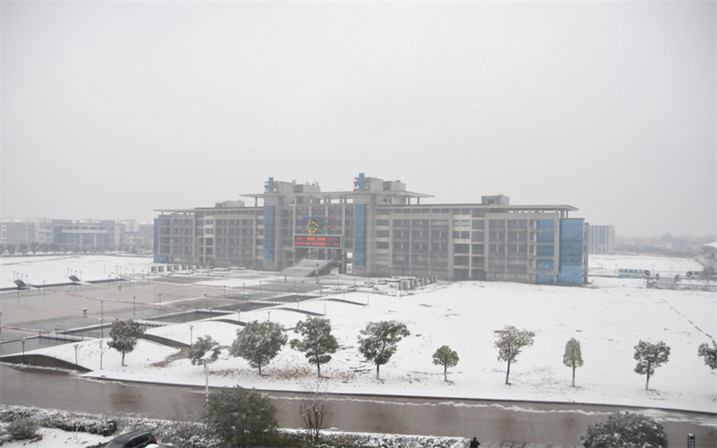 【2022高考】安徽城市管理职业学院在黑龙江各专业录取分数线及选科要求
