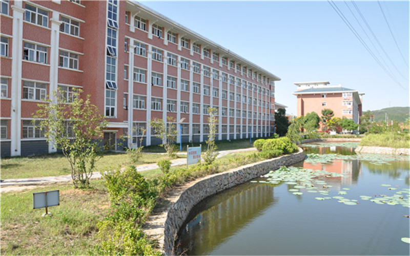 2024考生参考：2023滁州职业技术学院汽车检测与维修技术专业在山东招生录取分数及录取位次