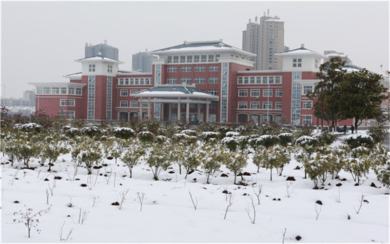 2024考生参考：2023滁州职业技术学院应用化工技术专业在浙江招生录取分数及录取位次