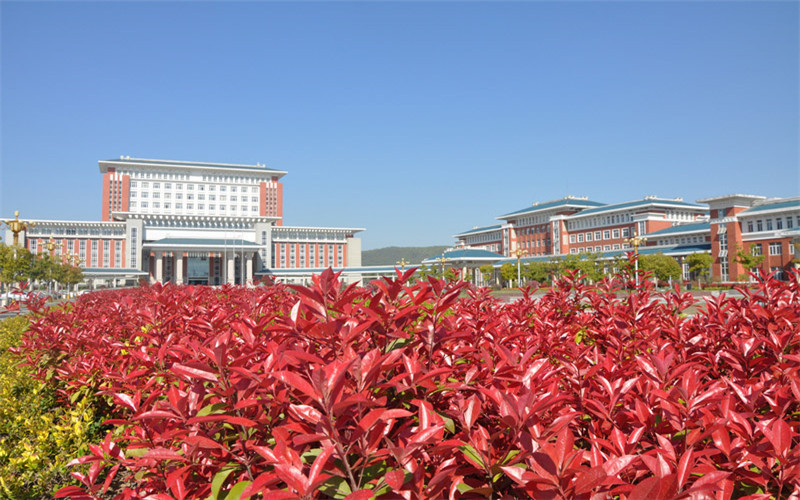 2023年滁州职业技术学院在安徽招生专业及招生人数汇总