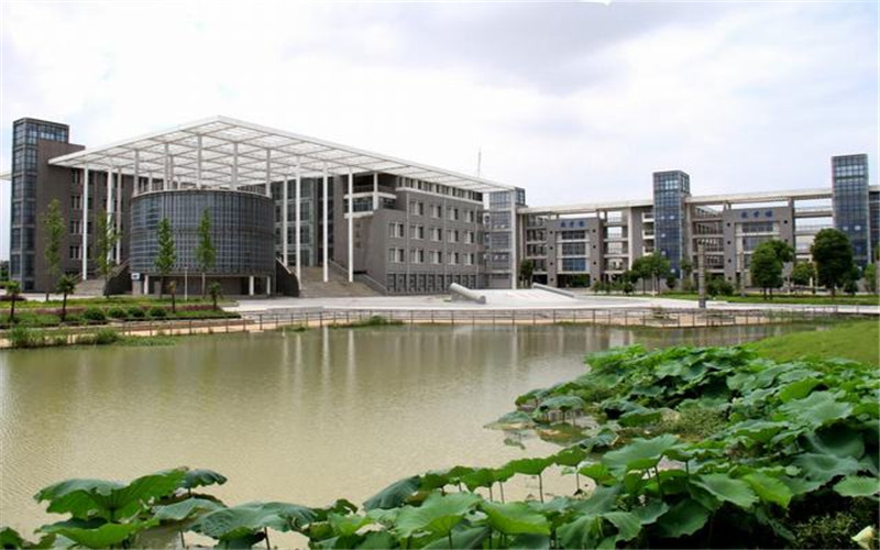 2024年合肥职业技术学院医学检验技术专业在浙江录取分数线参考