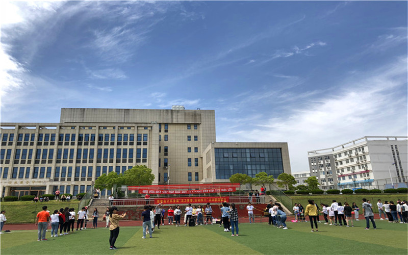 2024考生参考：2023徽商职业学院新能源汽车技术专业在河北招生录取分数及录取位次