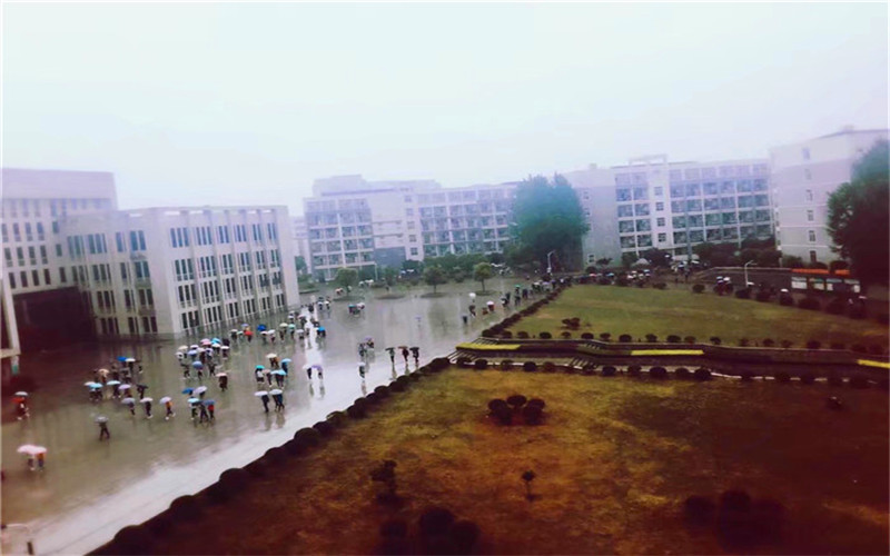 徽商职业学院旅游管理专业录取分数线【河北高考历史类】