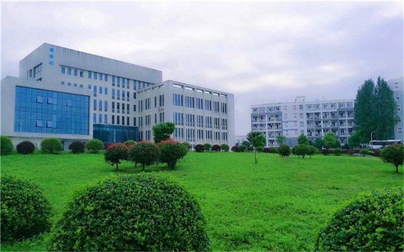 2023年徽商职业学院各物理类专业在河北招生分数是多少？