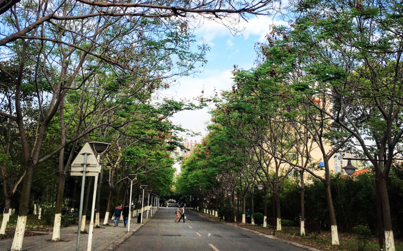 四川工程职业技术学院在福建各专业录取分数一览表(含2021-2020历年)