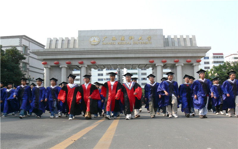 2023年广西医科大学在广东招生专业及招生人数汇总