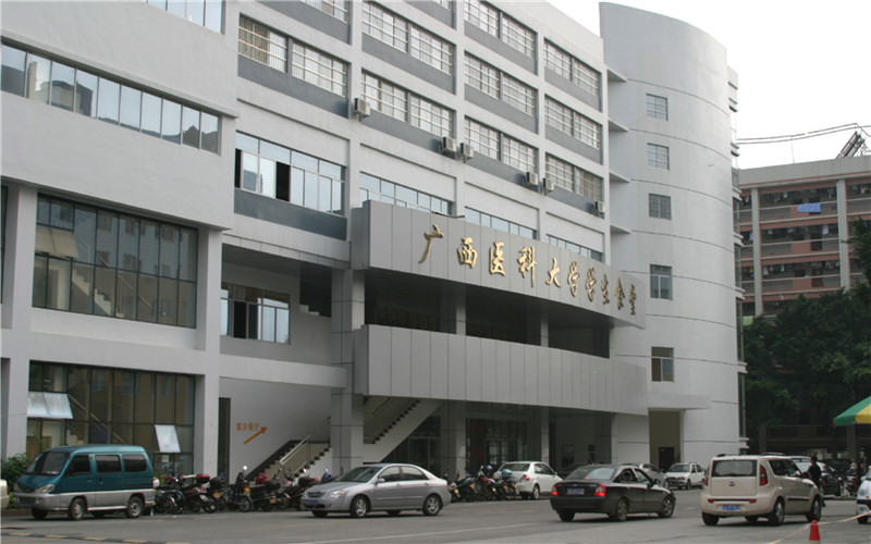 2023年广西医科大学在内蒙古招生专业及招生人数汇总